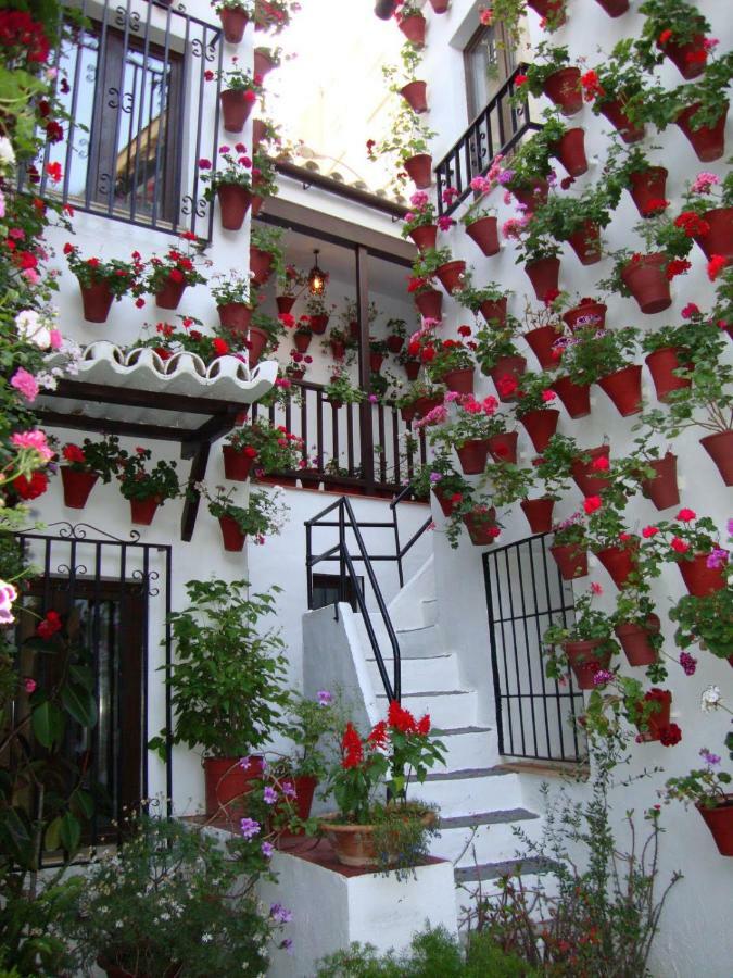 コルドバEl Balcon De La Juderiaアパートメント エクステリア 写真